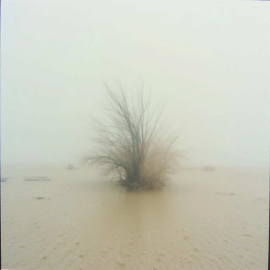 A lone, bare bush stands centered in a vast, flat landscape of pale sand. Thick fog obscures the horizon and softens all details, creating a hazy, dreamlike quality. The overall tone is muted and desolate, with a sense of quiet isolation.