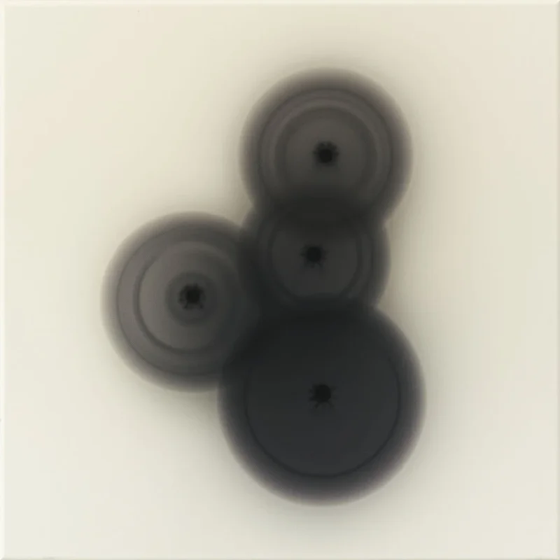 Four dark, circular objects are clustered together on a light surface. Each circle has a small spider positioned at its center and appears slightly blurred as if in motion. The overall effect is minimalist and somewhat unsettling due to the presence of the spiders.