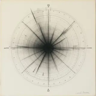 Resonant Cartographies